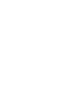 Shield icon